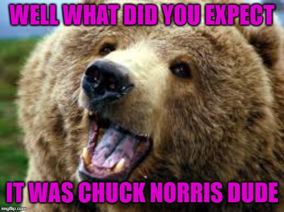 WELL WHAT DID YOU EXPECT IT WAS CHUCK NORRIS DUDE | made w/ Imgflip meme maker