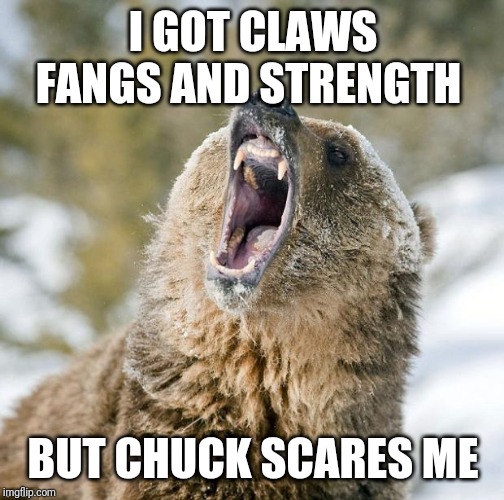 Grizzly Bear | I GOT CLAWS FANGS AND STRENGTH BUT CHUCK SCARES ME | image tagged in grizzly bear | made w/ Imgflip meme maker