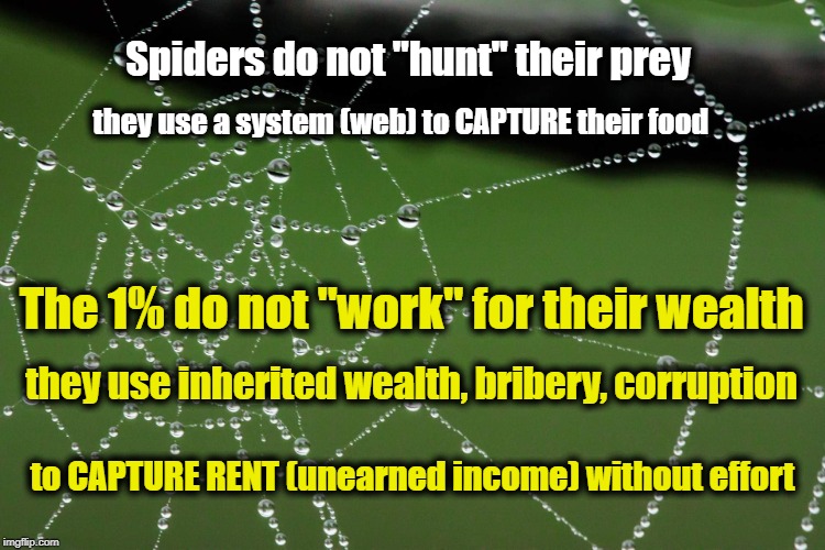Corruption is like a web | Spiders do not "hunt" their prey; they use a system (web) to CAPTURE their food; The 1% do not "work" for their wealth; they use inherited wealth, bribery, corruption; to CAPTURE RENT (unearned income) without effort | image tagged in spider web,corruption,rent | made w/ Imgflip meme maker