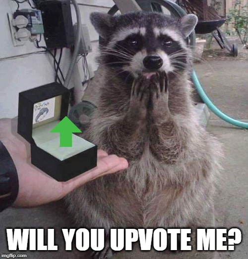 If you like it then you better put a vote on it | WILL YOU UPVOTE ME? | image tagged in upvotes,begging,lol so funny | made w/ Imgflip meme maker