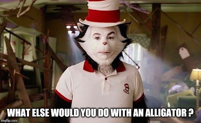 cat in the hat | WHAT ELSE WOULD YOU DO WITH AN ALLIGATOR ? | image tagged in cat in the hat | made w/ Imgflip meme maker