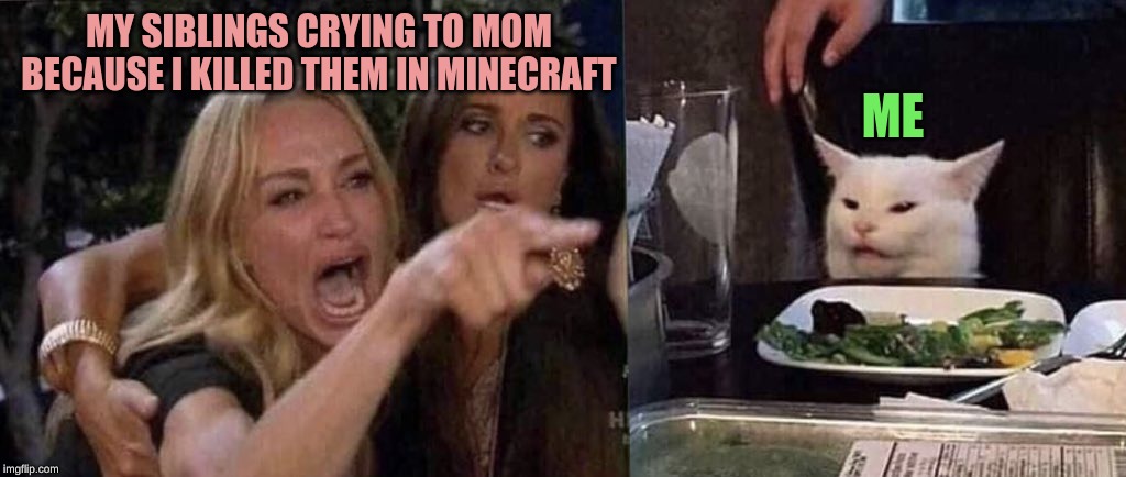 woman yelling at cat | ME; MY SIBLINGS CRYING TO MOM BECAUSE I KILLED THEM IN MINECRAFT | image tagged in woman yelling at cat | made w/ Imgflip meme maker