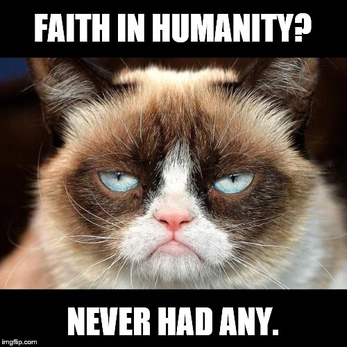 Grumpy Cat Not Amused Meme | FAITH IN HUMANITY? NEVER HAD ANY. | image tagged in memes,grumpy cat not amused,grumpy cat | made w/ Imgflip meme maker