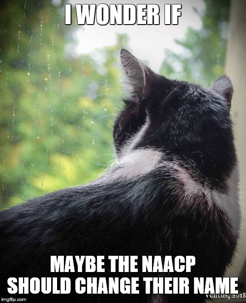 Sometimes I Wonder If | I WONDER IF MAYBE THE NAACP SHOULD CHANGE THEIR NAME | image tagged in sometimes i wonder if | made w/ Imgflip meme maker