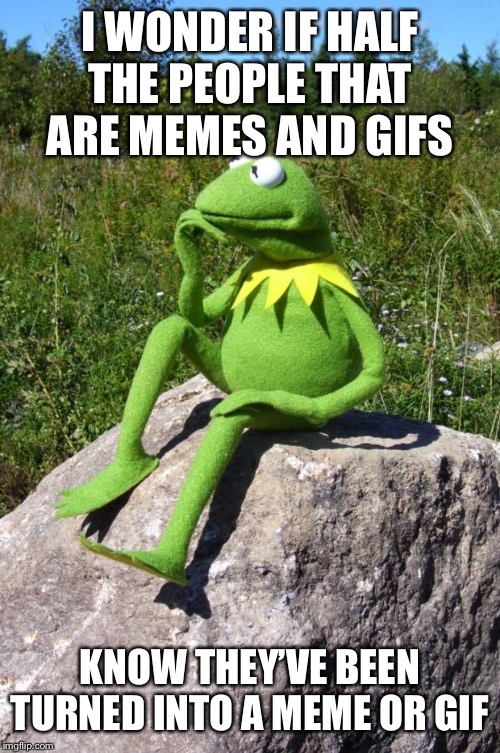 Kermit-thinking | I WONDER IF HALF THE PEOPLE THAT ARE MEMES AND GIFS; KNOW THEY’VE BEEN TURNED INTO A MEME OR GIF | image tagged in kermit-thinking | made w/ Imgflip meme maker