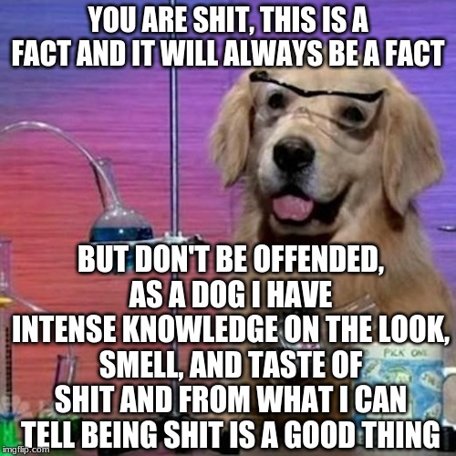 The True Fact of Today | YOU ARE SHIT, THIS IS A FACT AND IT WILL ALWAYS BE A FACT; BUT DON'T BE OFFENDED, AS A DOG I HAVE INTENSE KNOWLEDGE ON THE LOOK, SMELL, AND TASTE OF SHIT AND FROM WHAT I CAN TELL BEING SHIT IS A GOOD THING | image tagged in memes,i have no idea what i am doing dog,dog,shit | made w/ Imgflip meme maker