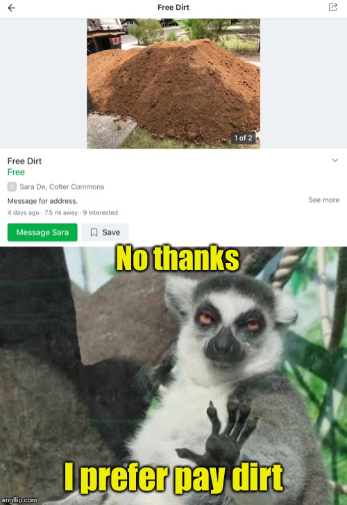 Free Dirt | No thanks; I prefer pay dirt | image tagged in no thanks lemur,it's free real estate,bad pun | made w/ Imgflip meme maker