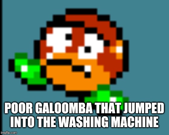 Dizzy Galoomba | POOR GALOOMBA THAT JUMPED INTO THE WASHING MACHINE | image tagged in dizzy galoomba | made w/ Imgflip meme maker