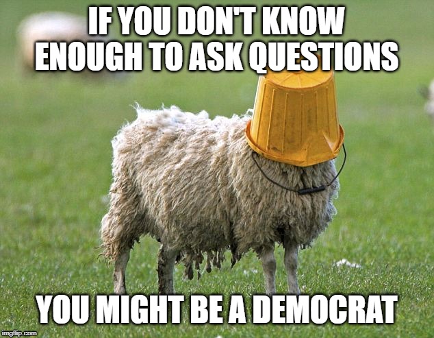 stupid sheep | IF YOU DON'T KNOW ENOUGH TO ASK QUESTIONS; YOU MIGHT BE A DEMOCRAT | image tagged in stupid sheep | made w/ Imgflip meme maker