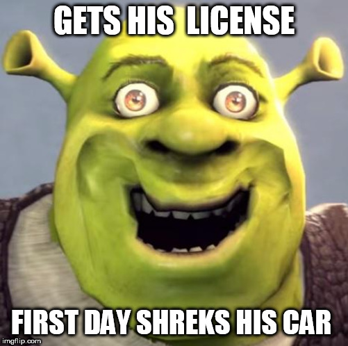 SHREK- LIFE! | GETS HIS  LICENSE; FIRST DAY SHREKS HIS CAR | image tagged in shrek rape face,shrek  car,shrek life,license to shrek | made w/ Imgflip meme maker