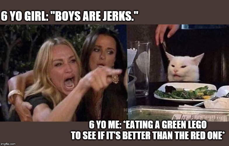woman yelling at cat | 6 YO GIRL: "BOYS ARE JERKS."; 6 YO ME: *EATING A GREEN LEGO TO SEE IF IT'S BETTER THAN THE RED ONE* | image tagged in woman yelling at cat | made w/ Imgflip meme maker