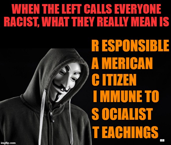 The only argument the Left has is Ad Hominem | WHEN THE LEFT CALLS EVERYONE RACIST, WHAT THEY REALLY MEAN IS; R ESPONSIBLE; A MERICAN; C ITIZEN; I MMUNE TO; S OCIALIST; T EACHINGS; CLD | image tagged in guy fawkes | made w/ Imgflip meme maker