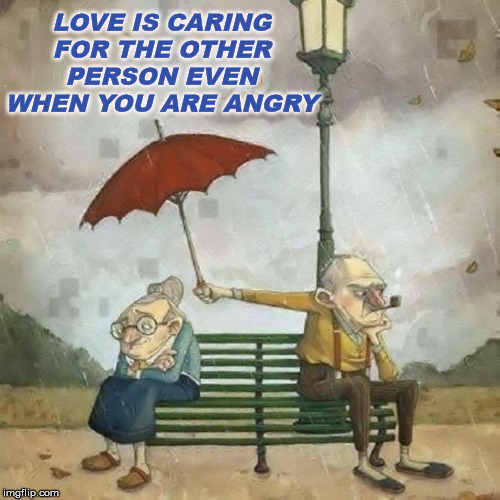 Love one another | LOVE IS CARING FOR THE OTHER PERSON EVEN WHEN YOU ARE ANGRY | image tagged in love | made w/ Imgflip meme maker