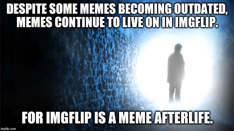 Beauty, huh? | DESPITE SOME MEMES BECOMING OUTDATED, MEMES CONTINUE TO LIVE ON IN IMGFLIP. FOR IMGFLIP IS A MEME AFTERLIFE. | image tagged in afterlife,imgflip,memes,dead memes | made w/ Imgflip meme maker