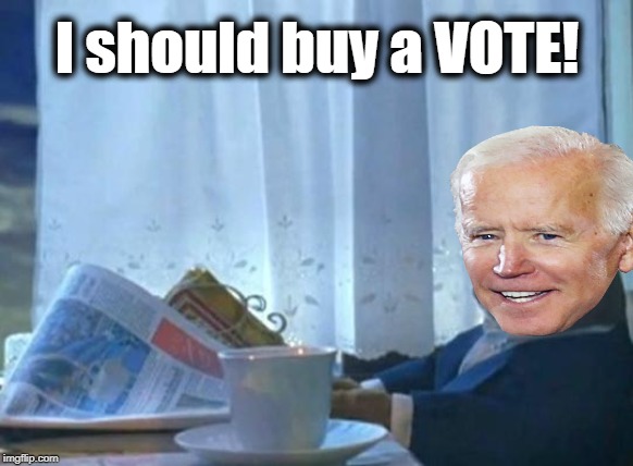 Biden,  after reading the latest poll results | I should buy a VOTE! | image tagged in cat newspaper,joe biden,desperate | made w/ Imgflip meme maker