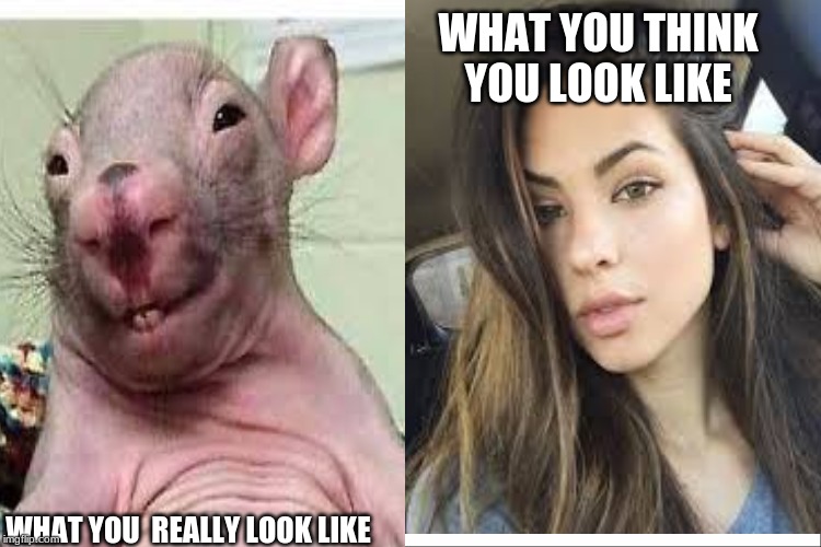 Reality vs. Expectations | WHAT YOU THINK
YOU LOOK LIKE; WHAT YOU  REALLY LOOK LIKE | image tagged in funny meme | made w/ Imgflip meme maker