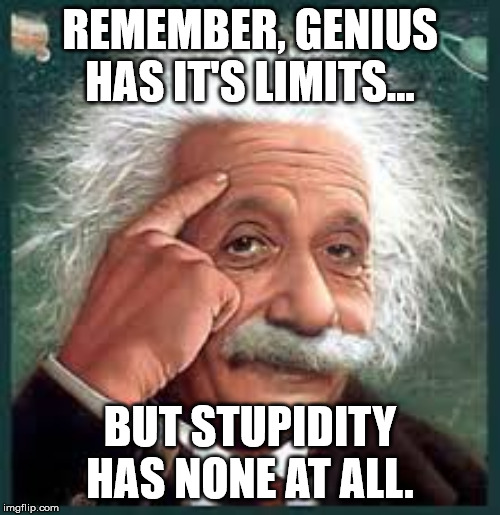 AA A eistien einstien | REMEMBER, GENIUS HAS IT'S LIMITS... BUT STUPIDITY HAS NONE AT ALL. | image tagged in aa a eistien einstien | made w/ Imgflip meme maker