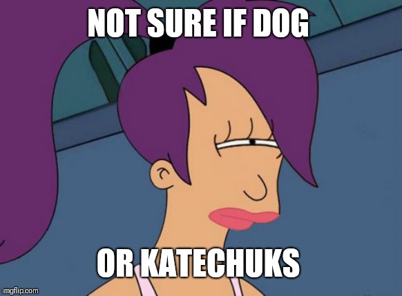 Futurama Leela Meme | NOT SURE IF DOG OR KATECHUKS | image tagged in memes,futurama leela | made w/ Imgflip meme maker