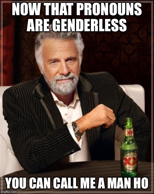 The Most Interesting Man In The World | NOW THAT PRONOUNS ARE GENDERLESS; YOU CAN CALL ME A MAN HO | image tagged in memes,the most interesting man in the world | made w/ Imgflip meme maker