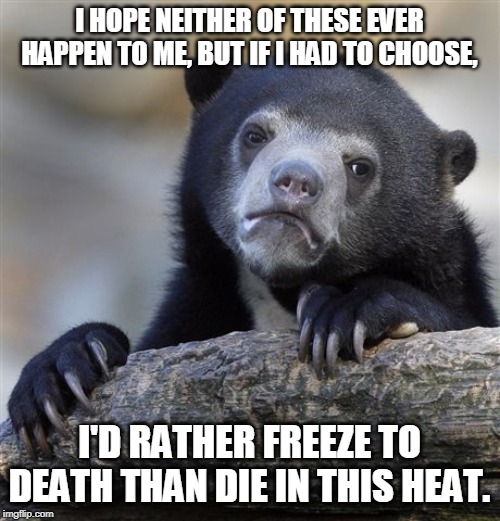 Confession Bear Meme | I HOPE NEITHER OF THESE EVER HAPPEN TO ME, BUT IF I HAD TO CHOOSE, I'D RATHER FREEZE TO DEATH THAN DIE IN THIS HEAT. | image tagged in memes,confession bear,hot | made w/ Imgflip meme maker