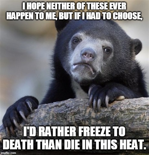 Confession Bear Meme - Imgflip