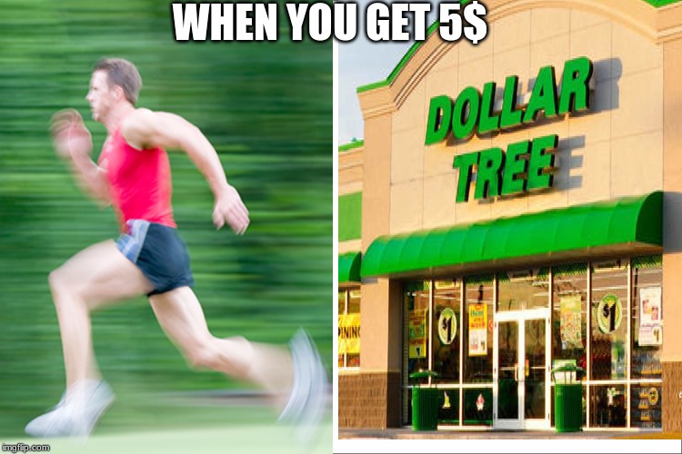 WHEN YOU GET 5$ | image tagged in dollar store | made w/ Imgflip meme maker