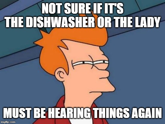 NOT SURE IF IT'S THE DISHWASHER OR THE LADY MUST BE HEARING THINGS AGAIN | image tagged in memes,futurama fry | made w/ Imgflip meme maker