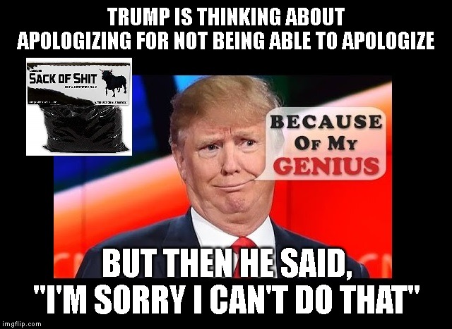 Trump, You Are a Really Sorry Person | TRUMP IS THINKING ABOUT APOLOGIZING FOR NOT BEING ABLE TO APOLOGIZE; BUT THEN HE SAID, "I'M SORRY I CAN'T DO THAT" | image tagged in apologize,donald trump is an idiot,trump is an asshole,racist,impeach trump | made w/ Imgflip meme maker
