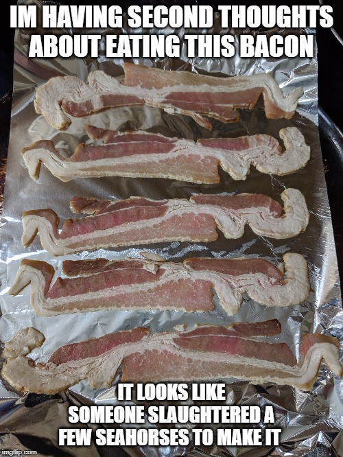 IM HAVING SECOND THOUGHTS ABOUT EATING THIS BACON; IT LOOKS LIKE SOMEONE SLAUGHTERED A FEW SEAHORSES TO MAKE IT | image tagged in bacon,breakfast,funny meme,funny,seahorse bacon,seahorse | made w/ Imgflip meme maker