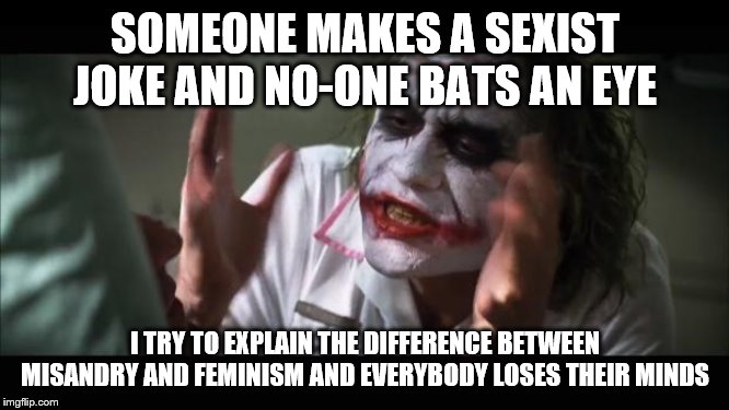 Seriously, I pointed out the difference and one guy wrote an entire frickin' essay | SOMEONE MAKES A SEXIST JOKE AND NO-ONE BATS AN EYE; I TRY TO EXPLAIN THE DIFFERENCE BETWEEN MISANDRY AND FEMINISM AND EVERYBODY LOSES THEIR MINDS | image tagged in memes,and everybody loses their minds,misandry,feminism | made w/ Imgflip meme maker