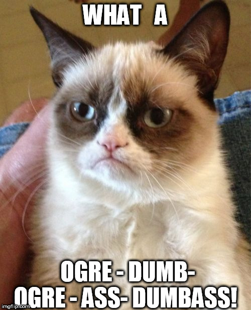 Grumpy Cat Meme | WHAT   A OGRE - DUMB- OGRE - ASS- DUMBASS! | image tagged in memes,grumpy cat | made w/ Imgflip meme maker