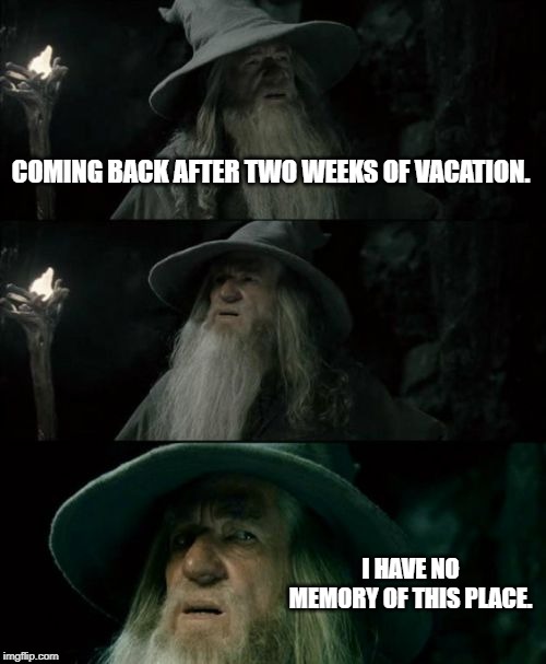 Confused Gandalf | COMING BACK AFTER TWO WEEKS OF VACATION. I HAVE NO MEMORY OF THIS PLACE. | image tagged in memes,confused gandalf | made w/ Imgflip meme maker