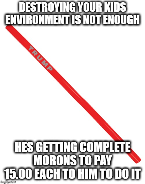 Not right in the head | DESTROYING YOUR KIDS ENVIRONMENT IS NOT ENOUGH; HES GETTING COMPLETE MORONS TO PAY 15.00 EACH TO HIM TO DO IT | image tagged in memes,pollution,maga,impeach trump,idiots | made w/ Imgflip meme maker
