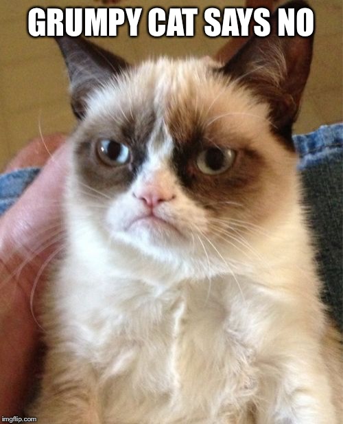 Grumpy Cat Meme | GRUMPY CAT SAYS NO | image tagged in memes,grumpy cat | made w/ Imgflip meme maker