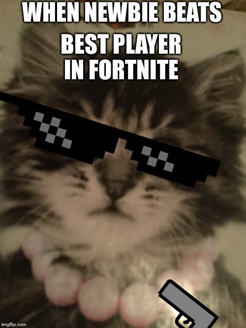 When newbie beats best player in fortnite | WHEN NEWBIE BEATS; BEST PLAYER IN FORTNITE | image tagged in fortnite,deal with it,cats with guns | made w/ Imgflip meme maker