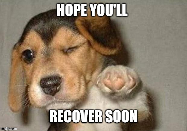 Winking Dog | HOPE YOU'LL RECOVER SOON | image tagged in winking dog | made w/ Imgflip meme maker
