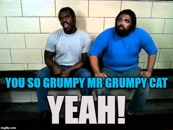 YOU SO GRUMPY MR GRUMPY CAT YEAH! | made w/ Imgflip meme maker