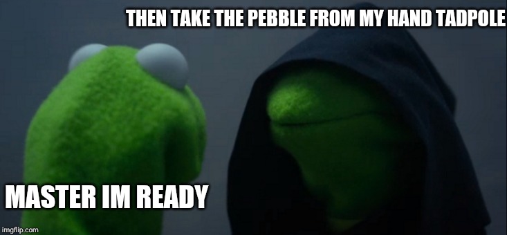 Evil Kermit Meme | THEN TAKE THE PEBBLE FROM MY HAND TADPOLE; MASTER IM READY | image tagged in memes,evil kermit | made w/ Imgflip meme maker