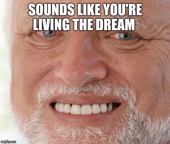 Hide the Pain Harold | SOUNDS LIKE YOU'RE LIVING THE DREAM | image tagged in hide the pain harold | made w/ Imgflip meme maker