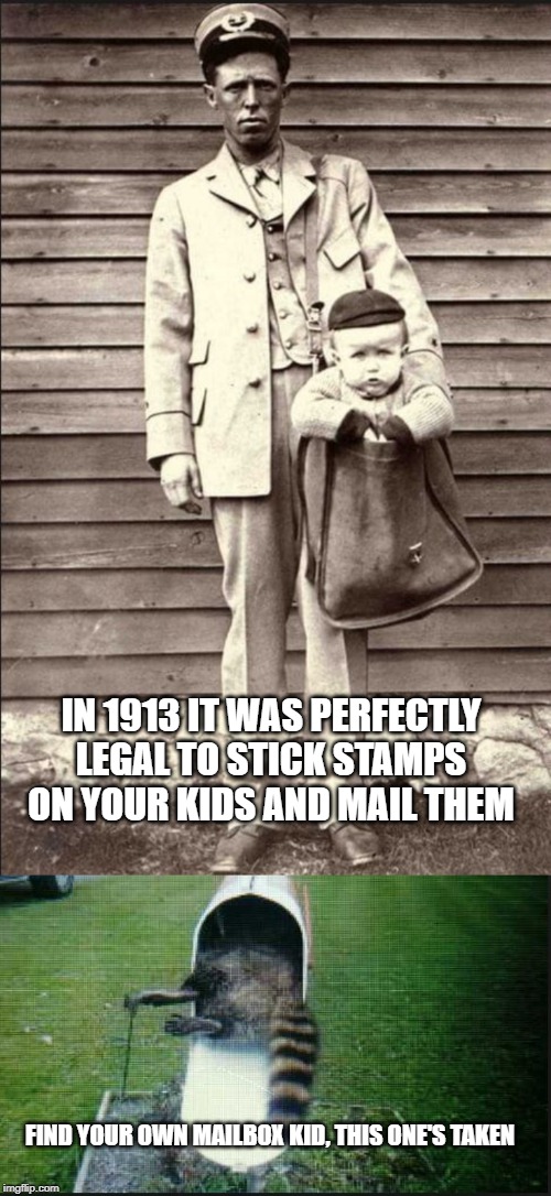 it was a lot cheaper than buying them a rail ticket | IN 1913 IT WAS PERFECTLY LEGAL TO STICK STAMPS ON YOUR KIDS AND MAIL THEM; FIND YOUR OWN MAILBOX KID, THIS ONE'S TAKEN | image tagged in mail,kids,racoon | made w/ Imgflip meme maker