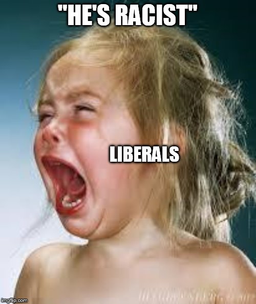 Crying Baby | "HE'S RACIST" LIBERALS | image tagged in crying baby | made w/ Imgflip meme maker