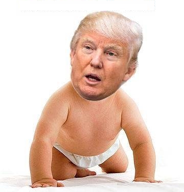 Trump baby diaper Blank Meme Template