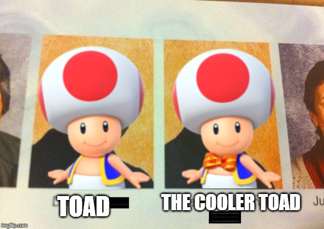 The Cooler Daniel | THE COOLER TOAD; TOAD | image tagged in the cooler daniel,toad,super mario,yearbook | made w/ Imgflip meme maker
