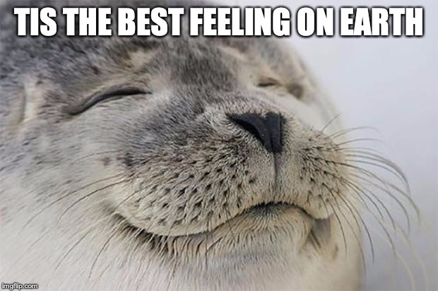 Satisfied Seal Meme | TIS THE BEST FEELING ON EARTH | image tagged in memes,satisfied seal | made w/ Imgflip meme maker