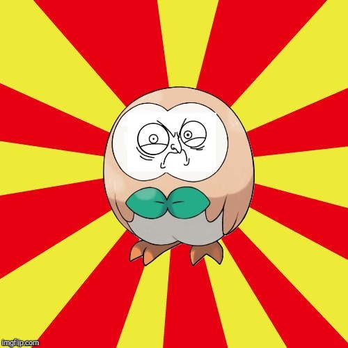 gusta rowlet | image tagged in gusta rowlet | made w/ Imgflip meme maker
