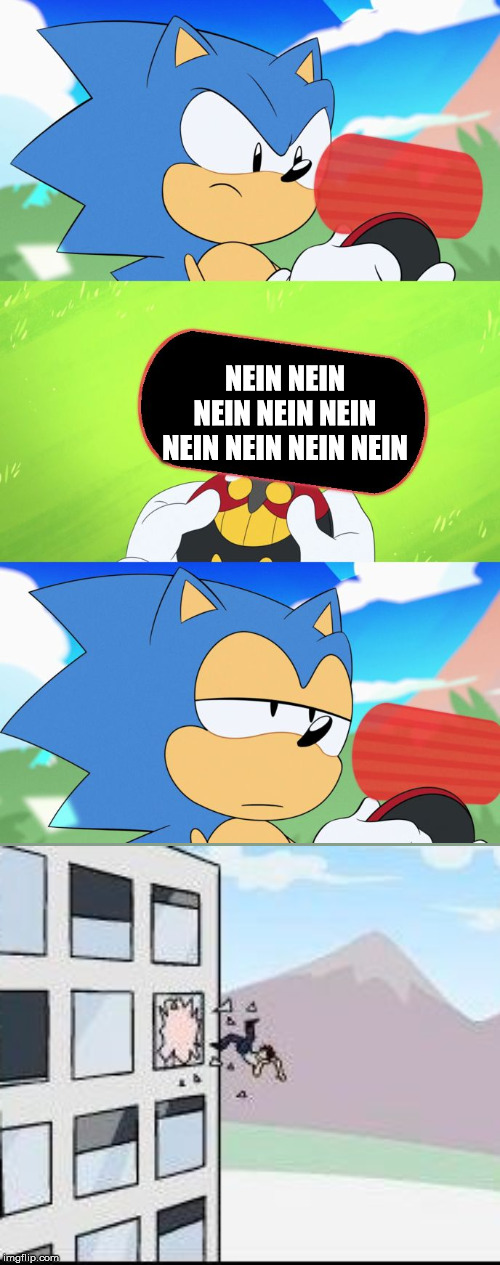 Sonic Dumb Message Meme | NEIN NEIN NEIN NEIN NEIN NEIN NEIN NEIN NEIN | image tagged in sonic dumb message meme | made w/ Imgflip meme maker