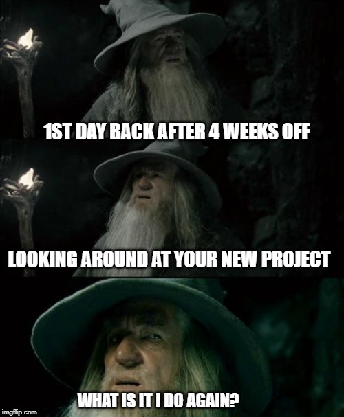 Confused Gandalf | 1ST DAY BACK AFTER 4 WEEKS OFF; LOOKING AROUND AT YOUR NEW PROJECT; WHAT IS IT I DO AGAIN? | image tagged in memes,confused gandalf | made w/ Imgflip meme maker