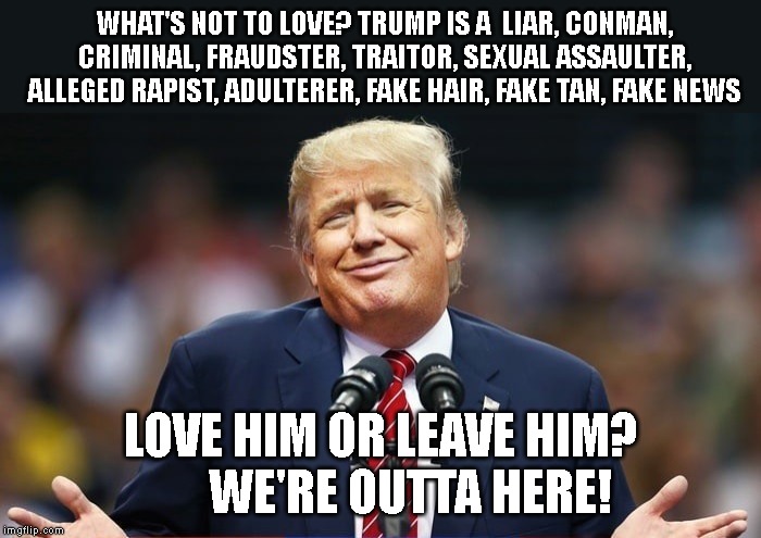 Trump Adds Racist to His List Of Qualities | WHAT'S NOT TO LOVE? TRUMP IS A  LIAR, CONMAN, CRIMINAL, FRAUDSTER, TRAITOR, SEXUAL ASSAULTER, ALLEGED RAPIST, ADULTERER, FAKE HAIR, FAKE TAN, FAKE NEWS; LOVE HIM OR LEAVE HIM?       WE'RE OUTTA HERE! | image tagged in anyone but trump 2020,impeach trump,liar,conman,criminal traitor | made w/ Imgflip meme maker