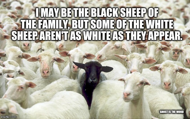 I MAY BE THE BLACK SHEEP OF THE FAMILY, BUT SOME OF THE WHITE SHEEP AREN'T AS WHITE AS THEY APPEAR. GHOST IS THE WORD | image tagged in truth | made w/ Imgflip meme maker