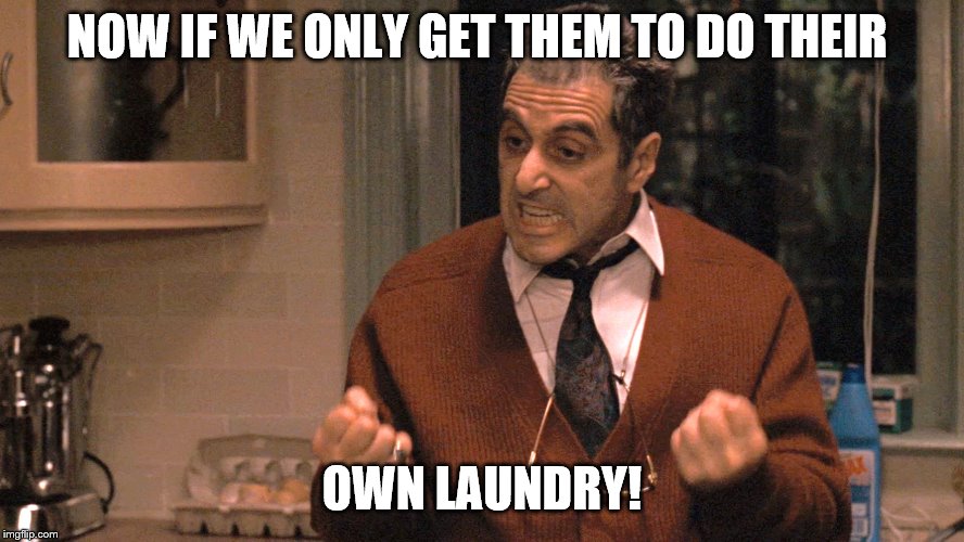 They pull me back in Godfather | NOW IF WE ONLY GET THEM TO DO THEIR OWN LAUNDRY! | image tagged in they pull me back in godfather | made w/ Imgflip meme maker